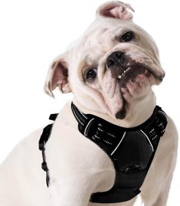 Eagloo dog harness no pull