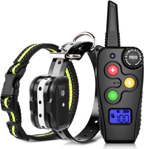 Shock collar for dog with remote